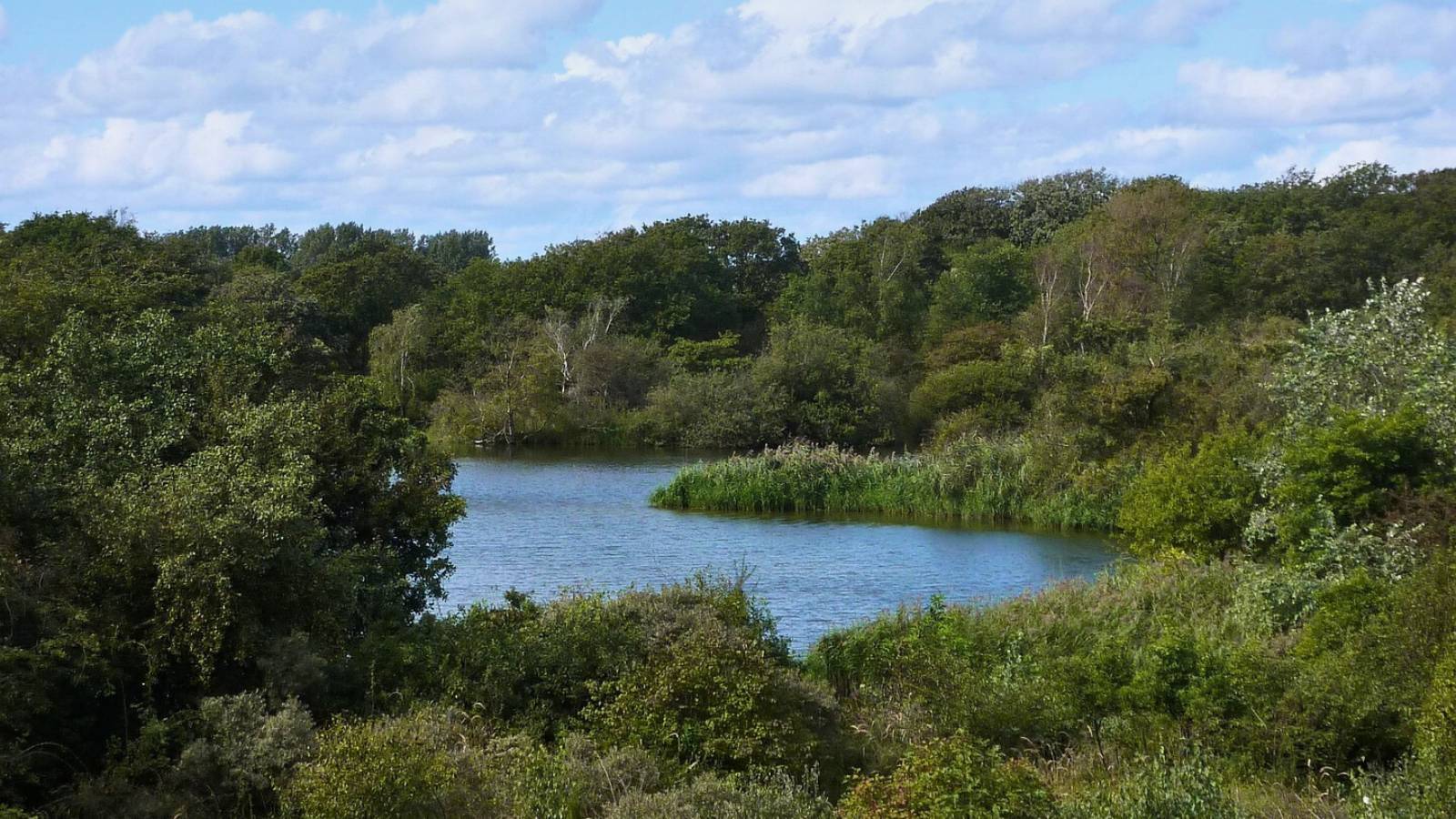 Camping-Wassenaar-Reserve-naturelle-Meijendel-POI-TH-FR